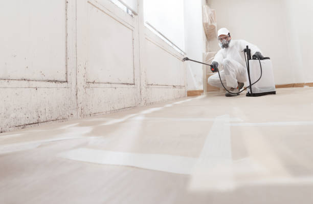 24/7 Emergency Black Mold Removal experts in Bowie, MD